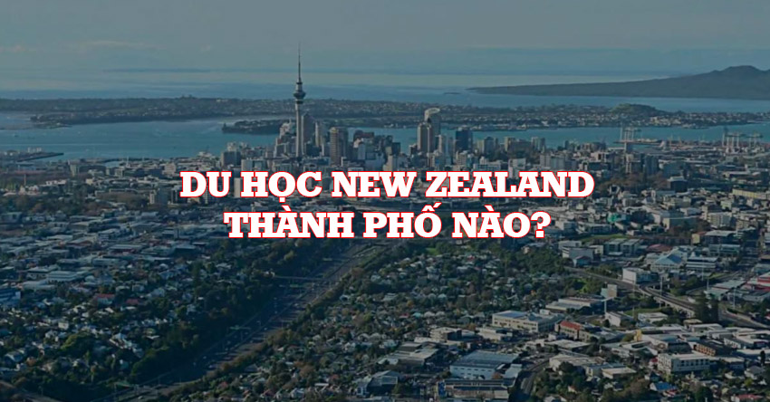 Nên chọn trường và thành phố nào khi du học tại New Zealand